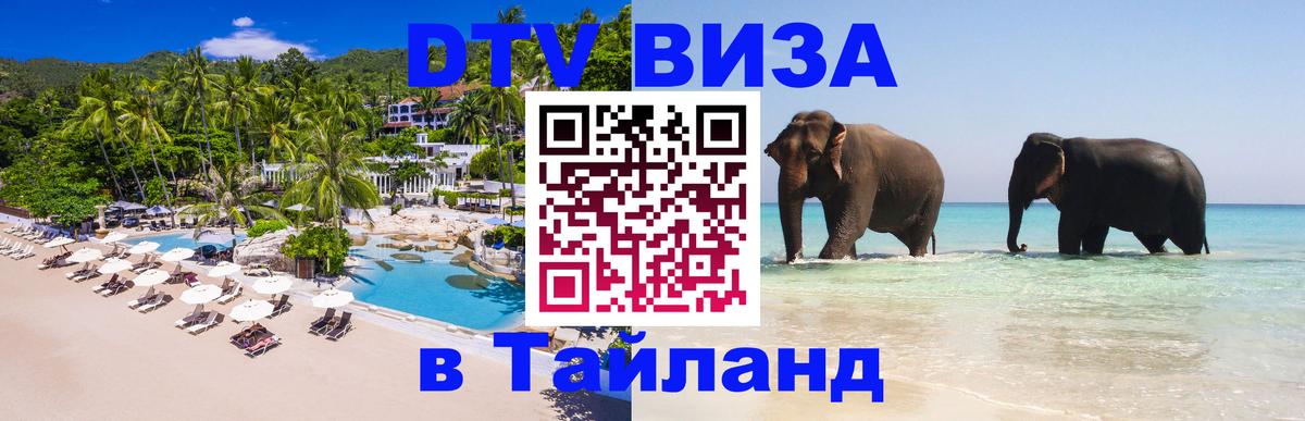 Сколько стоит DTV виза — актуальные цены, оформление даже без документов - Березники  05.10.2025 